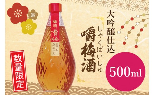 【数量限定】大吟醸仕込 嚼梅酒【吉久保酒造 酒 一品 熟成貯蔵 水戸市 茨城県】（DA-2）