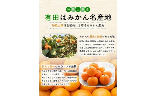 【11月発送】有田育ちの完熟有田みかん 家庭用 サイズ混合(2S～2L)　約2.2kg(2kg+200g)【ard201D-11】