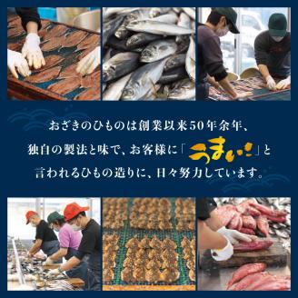 おざきのひもの 詰め合わせセット＜旬の魚をお届け！＞（Aセット）【冷蔵】