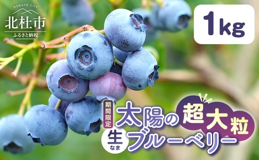 
                  【2027年先行予約】【超大粒】山梨県産（明野産）生果 ブルーベリー1,000g　無農薬 新鮮 フルーツ くだもの 生果実 ベリー 北杜市産 期間限定 数量限定
                