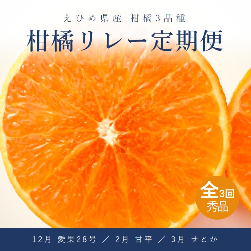 【ふるさと納税】 【全3回】松山柑橘リレー定期便 秀品 化粧平箱 1箱または2箱 / 愛果28号 (紅まどんなと同品種)・甘平・せとか | 愛媛三大高級柑橘 あいか まどんな かんぺい セトカ 愛媛みかん フルーツ 柑橘 果物 ギフト 贈答 高級 お取り寄せ 送料無料 愛媛県 松山市