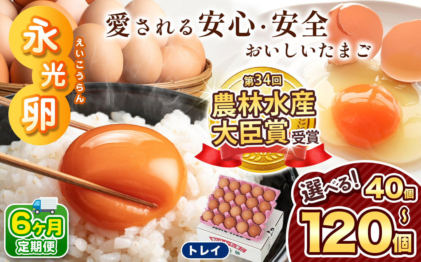 
            【 定期便 6回 】メディア紹介多数！ 永光卵 40個 ～ 120個 卵 たまご 選べる 個数 回数 トレイ タイプ | 発送 送料無料 えいこうらん 光永ファーム みつなが おいしい卵 濃厚たまご パック 君津市 きみつ 千葉県 
          