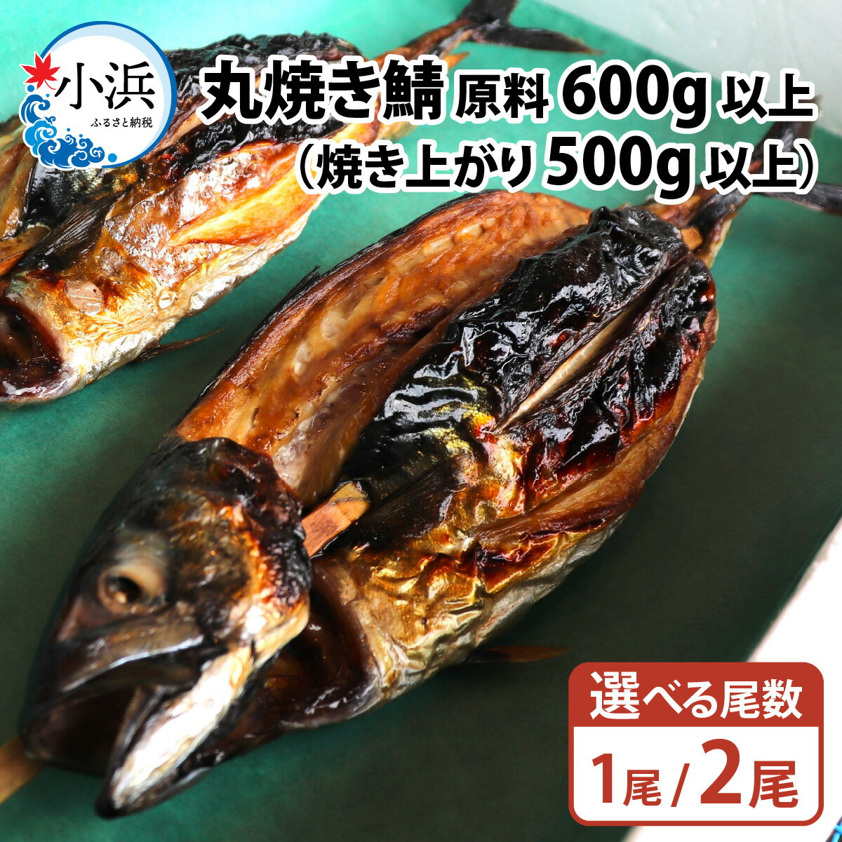 【ふるさと納税】【容量が選べる】丸焼き鯖 焼き上がり 500g以上（原料600g以上）1尾 / 2尾 ｜鯖 焼き鯖 鯖 浜焼き 丸焼き 塩焼き 500g 送料無料 [Y-087001] 【配送不可地域：北海道・沖縄・離島】 [BFCJ004]