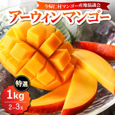 【2026年6月下旬から順次発送】今帰仁産の特選アップルマンゴー1kg(2～3玉)【配送不可地域：離島】