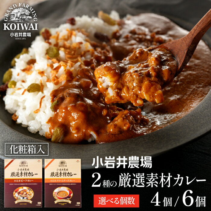 【ふるさと納税】 レトルトカレー おすすめ 小岩井農場 厳選素材 カレー セット ／ 2種類 選べる 4食 6食 レトルト ビーフカレー ビーフ 中辛 クリームチーズ チーズカレー 人気 食べ比べ 味比べ カレーライス お取り寄せ ギフト 常温保存 備蓄 便利 岩手県 雫石町 送料無料