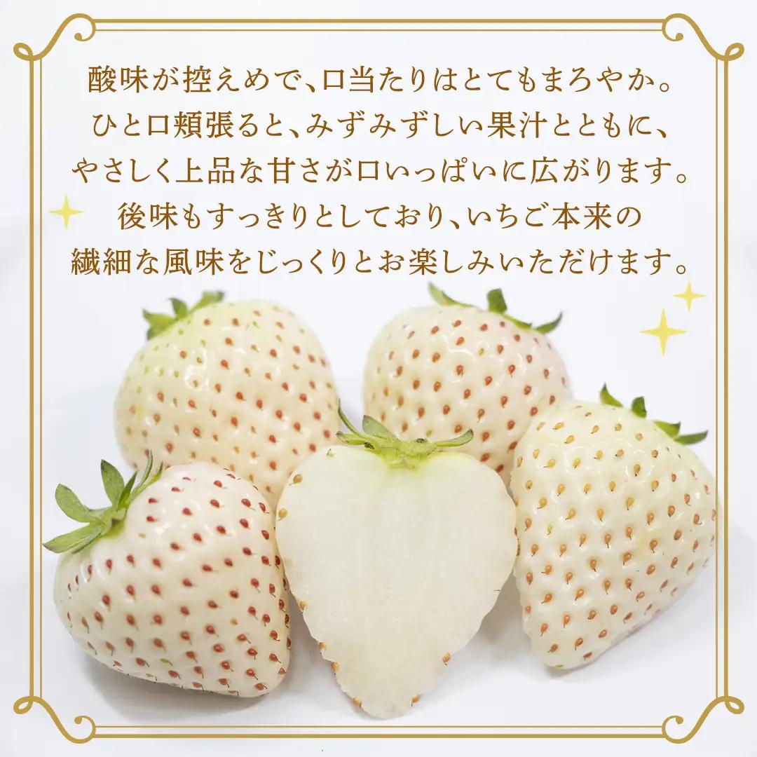 白いちご 約200g（15～18粒）×4パック【2027年1月から発送開始】（茨城県共通返礼品 [いちご]：城里町産）