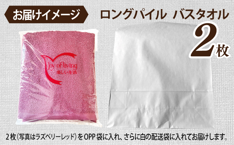 【スピード発送】ロングパイルバスタオル2枚セット(アースブラウン) 泉州タオル 015B523