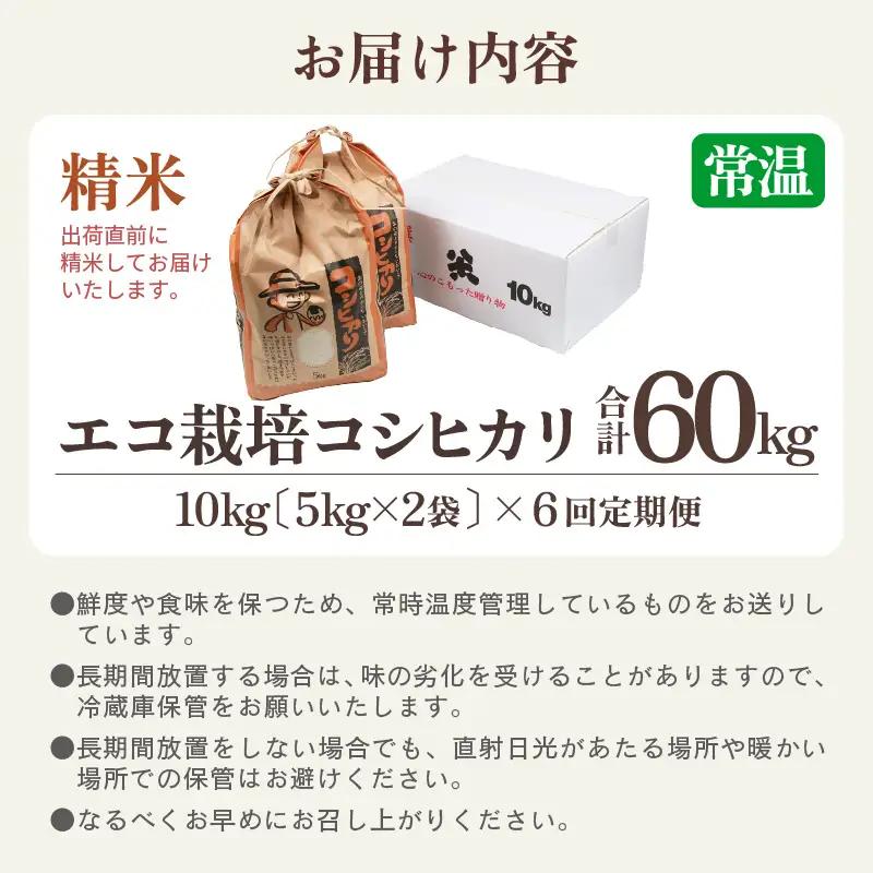 【先行予約】【令和8年産 新米】《定期便6回》エコ栽培コシヒカリ 白米10kg（5kg×2袋）計60kg ／ 鮮度抜群 福井県産 こしひかり ご飯 新鮮 白米 ※2026年10月上旬以降順次発送 [a