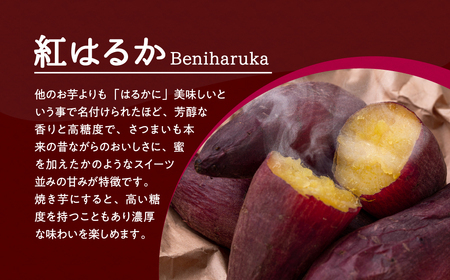 訳あり干し芋 切り落とし 2kg 4袋 (500g×4袋)  さつまいも 紅はるか 福島県 田村市