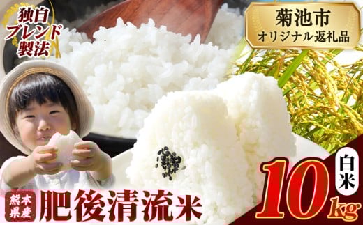 熊本県産 白米 肥後清流米 10kg 熊本県産 ふるさと納税 精米 米 こめ ふるさとのうぜい コメ お米 おこめ《12月中旬-2月末頃出荷》