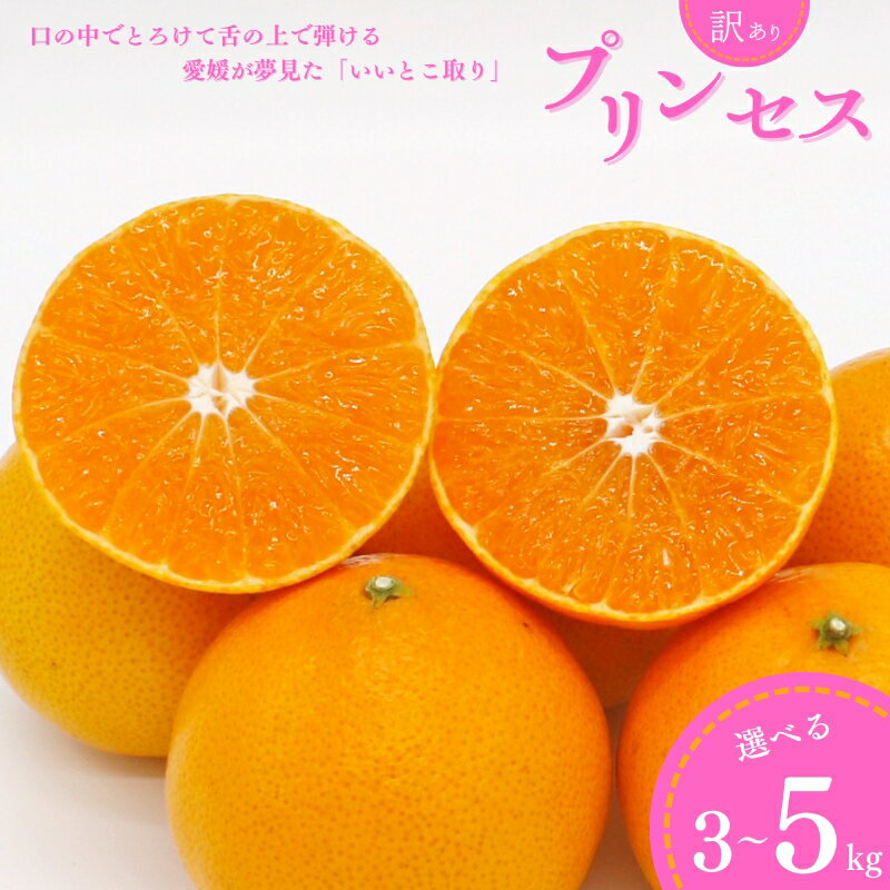 【ふるさと納税】 先行予約 訳あり プリンセス 愛果48号 5kg 3kg みかん 愛媛県 の 新品種 高級 人気 ブランド 柑橘 果物 フルーツ サイズミックス 甘い おいしい お取り寄せ 産地直送 農家直送 国産 特産品 中山農園 愛媛県 愛南町
