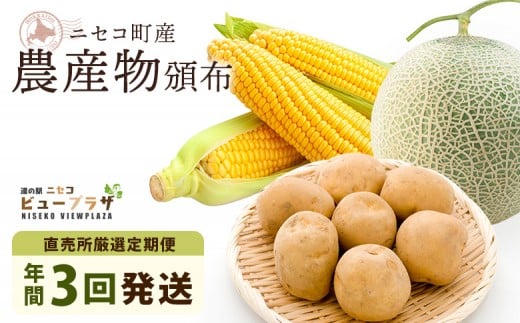 【道の駅ニセコビュープラザ直売所厳選定期便】北海道ニセコ町産農産物頒布（年間3回発送）＜2026年予約＞【02032】