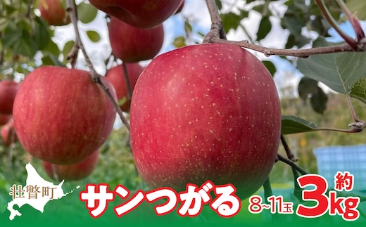 
										
										＜2024年9月下旬～10月中旬頃までのお届け＞ 北海道壮瞥町 りんご 品種名「サンつがる」8～11玉約3kg SBTF001
									