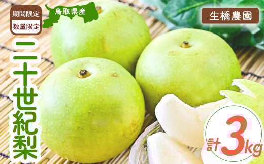 
                  二十世紀梨 3kg 【鳥取県産】（生橋農園） 梨 ナシ なし ブランド梨 鳥取 果物 フルーツ 和梨 先行予約 数量限定 詰め合わせ 二十世紀梨 20世紀梨
                