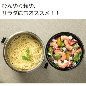 お弁当箱 お弁当 保温 保冷 「抗菌真空ステンレス丼ランチジャー」 550ml 2段 ベーシック 保温ジャー 保冷ジャー お弁当箱 スケーター おしゃれ シンプル 便利 オシャレジャー お弁当箱ジャー