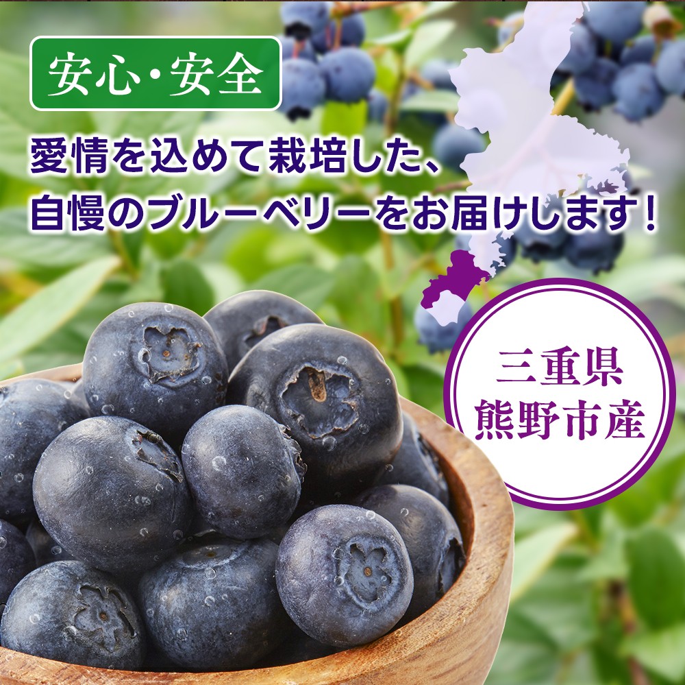 生果ブルーベリー 3㎏ 大粒 フルーツ 果物 くだもの スムージー ジャム 朝食 デザート 特産品 人気 国産 旬 金山パイロットファーム 三重県 熊野市【knpr0008A】