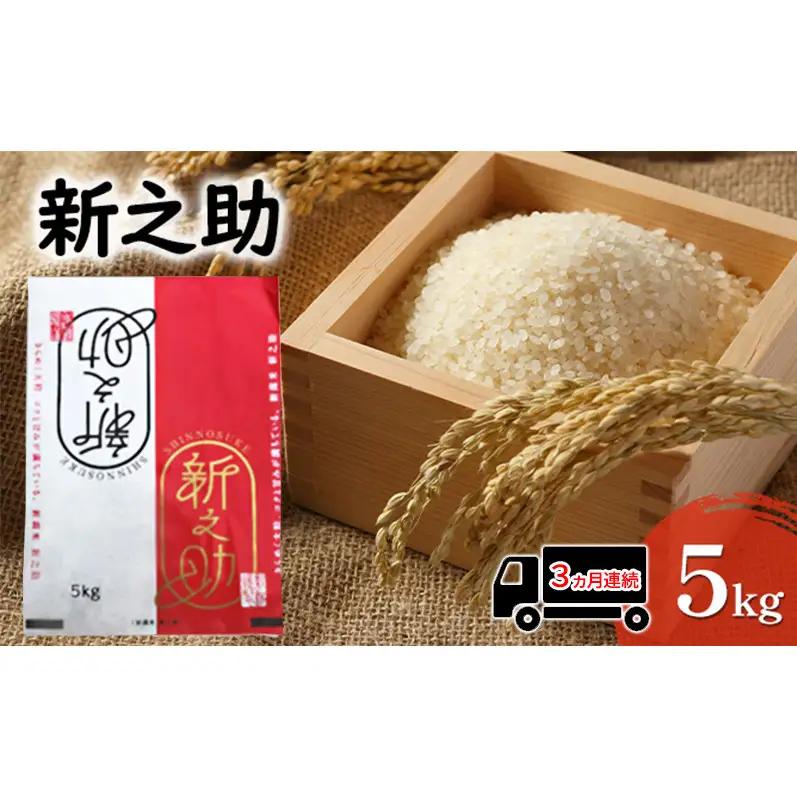 【先行予約 3か月連続定期便】令和8年産米 新之助 5kg お米 精米新潟県田上町