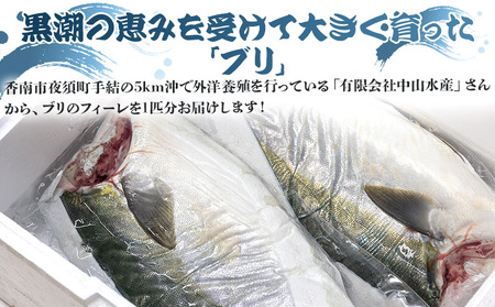 「勝ブリ」のフィーレ約3.2kg～3.9kg 【先行予約】 - ﾌﾞﾘ ﾌﾞﾘ ﾌﾞﾘ ﾌﾞﾘ ﾌﾞﾘ ﾌﾞﾘ ﾌﾞﾘ ﾌﾞﾘ ﾌﾞﾘ ﾌﾞﾘ ﾌﾞﾘ ﾌﾞﾘ ﾌﾞﾘ ﾌﾞﾘ ﾌﾞﾘ ﾌﾞﾘ ﾌﾞﾘ 