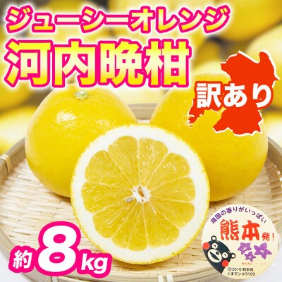 河内晩柑(ジューシーオレンジ)みかん 訳あり 約8kg(宇城市)【1713497】