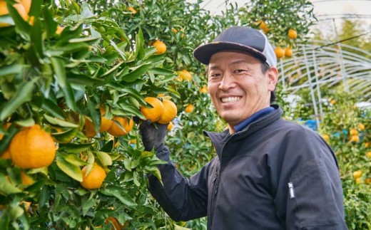  不知火海を望む段々畑で、土からこだわって育てた糖度厳選プレミアム みかん 約3kg【2026年10月上旬～2027年2月下旬発送予定】ミカン 柑橘 果物 くだもの フルーツ 極早生 早生 奥手 青切