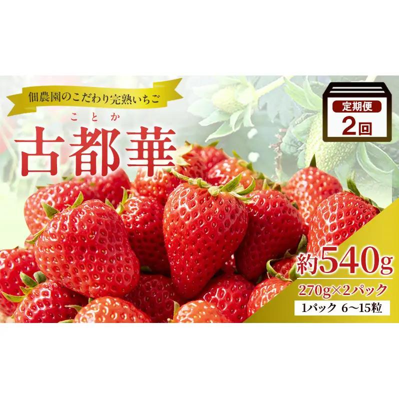 いちご 完熟 古都華 奈良県産 いちご【約540g 270g×2パック】【2回定期便 先行予約】