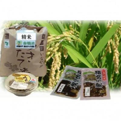 ふるさと納税 猪名川町 【和食セット】猪名川町産あいがも米コシヒカリ(精米)約2.7kg・黒大豆味噌800g・佃煮2袋