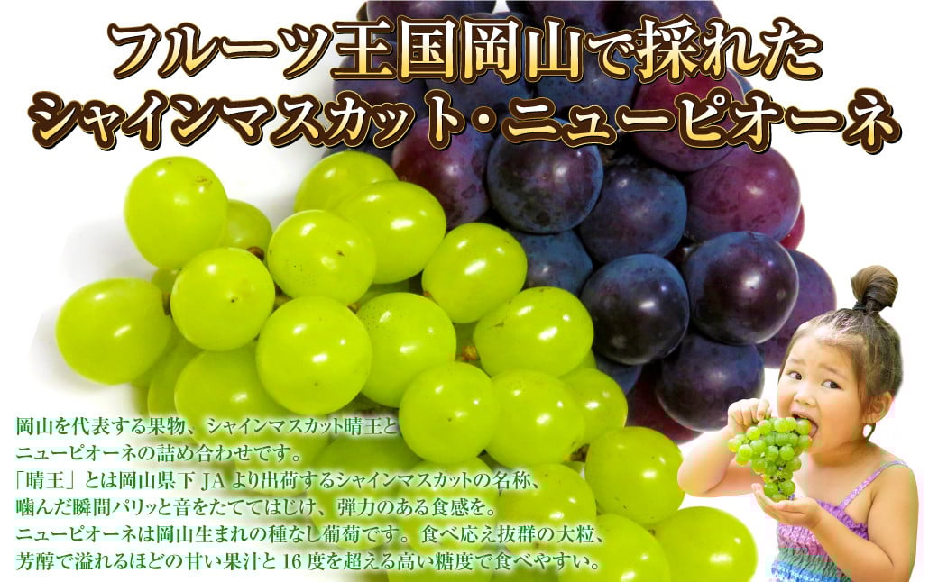 岡山県産 シャインマスカット 晴王・ニューピオーネ 3Lサイズ 計約1.2kg 詰合せ