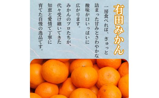 家庭用 有田 みかん 定期便 【2.5kg×3回】 / 温州みかん 有田みかん 甘い 訳あり 和歌山 有田 2.5kg ※北海道・沖縄・離島への配送不可