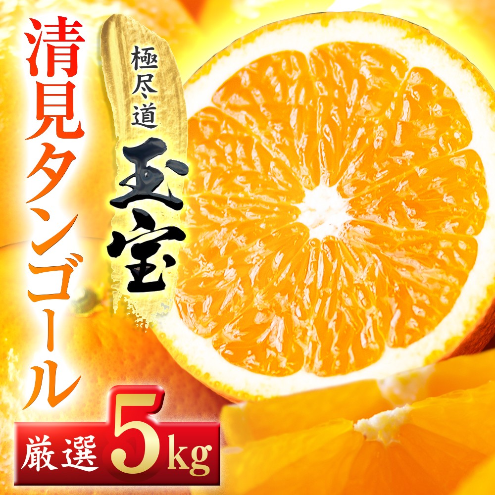 
                  【先行受付】【愛媛名産】玉宝清見タンゴール　5kg【C64-35】 YWTY024
                