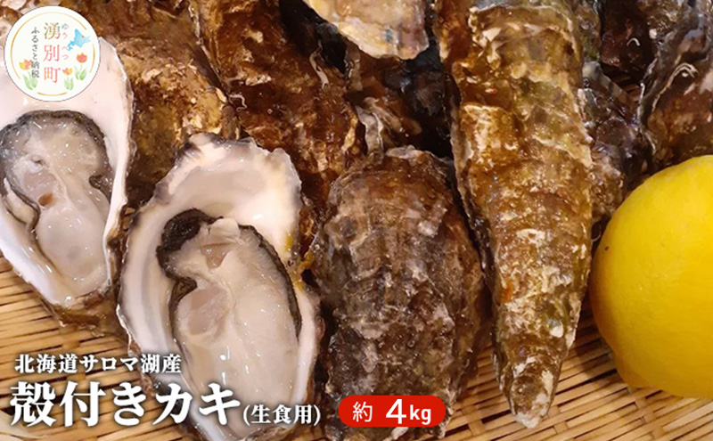 北海道 サロマ湖産 殻付き 牡蠣 約4kg 生食用 かき カキ 国産 貝付き 生牡蠣 焼き牡蠣 蒸し牡蠣 魚貝類 海鮮 美味しい 楽しい 過酷 環境 臭み ギュッ 旨味 幸せ 新鮮