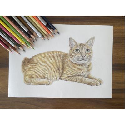 ふるさと納税 愛西市 ペット肖像画A4サイズ計1枚