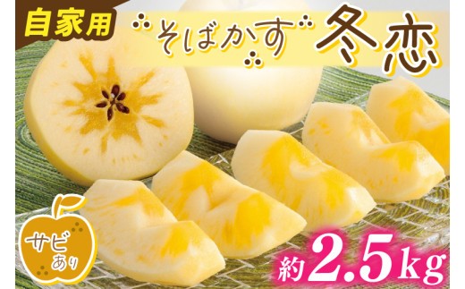 りんご そばかす「冬恋」（自家用「冬恋」 はるかサビ有） 糖度15度以上