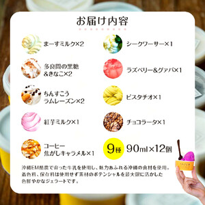 【ふるさと納税】ジェラート12個セット こころおどる  | アイス 沖縄  ジェラート アイス カップアイス アイスクリーム スイーツ