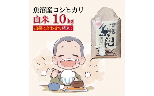 
                  令和８年産新米　魚沼産コシヒカリ 精米10kg
                