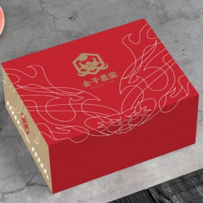 【本場山梨の旬を堪能】今逃せば1年待ちの幻のハウスオブシャインマスカット2025年6月中旬発送【配送不可地域：離島】