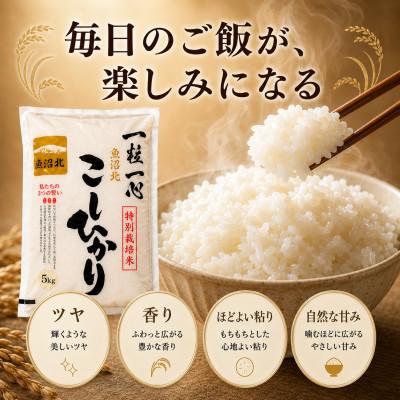 ふるさと納税 小千谷市 【新米】令和8年産 魚沼産コシヒカリ 10kg 特別栽培米 |  | 01