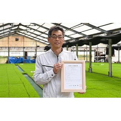 ふるさと納税 美濃加茂市 令和6年産 美濃加茂産のお米 「ハツシモ」  10kg |  | 01