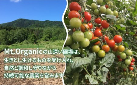 先行予約 オーガニックミニトマト 約1.2kg 有機JAS認証 ミニトマト
