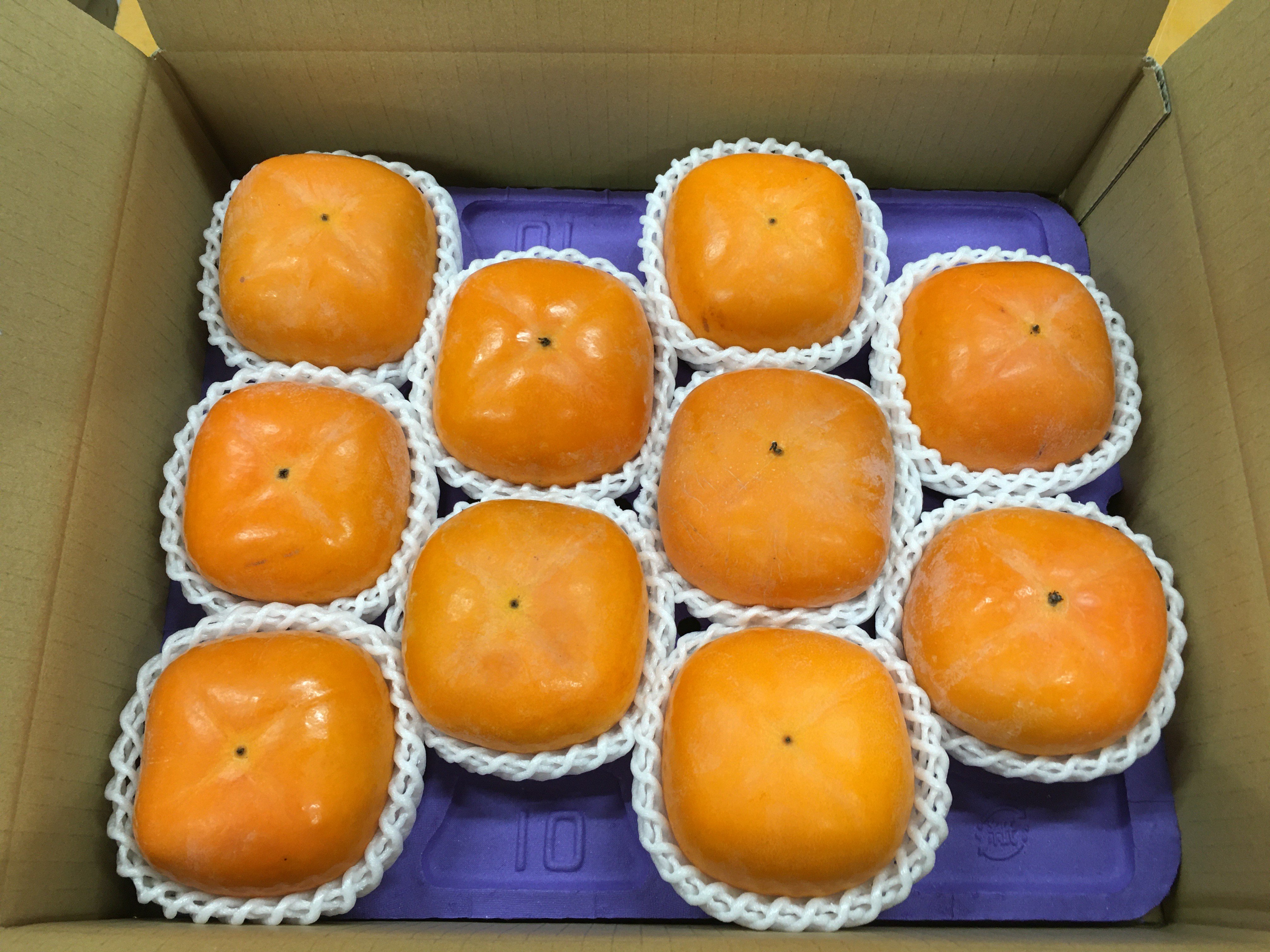 
            石橋果樹園 平核無柿 10玉（2.3～2.7kg）
          