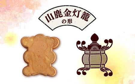 【6回定期便】【訳あり】千人灯籠 せんべい 170g×4袋 手焼き 煎餅【同田貫本舗】煎餅 せんべい 熊本 熊本せんべい 訳あり せんべい 手焼き煎餅 訳あり定期 訳あり定期便  [ZEF005]