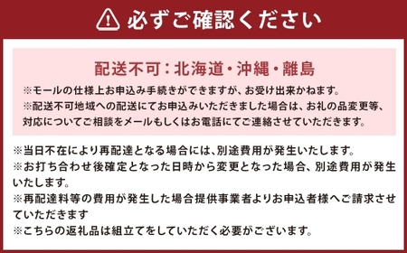【RED （ レッド ）】 アラル 枕クッション 大川家具 クッション 枕 ピロー インテリア 家具 九州 福岡県 筑後市