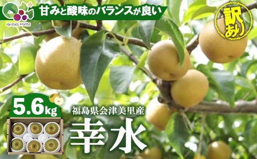 
                  【先行受付】《訳あり》会津の美味しい梨 幸水 約5.6kg（10玉～12玉） | 期間限定 家庭用 梨 なし ナシ 果物 フルーツ 甘い ジューシー 果実 くだもの 国産 果実 会津美里町産 ※2026年8月～発送
                