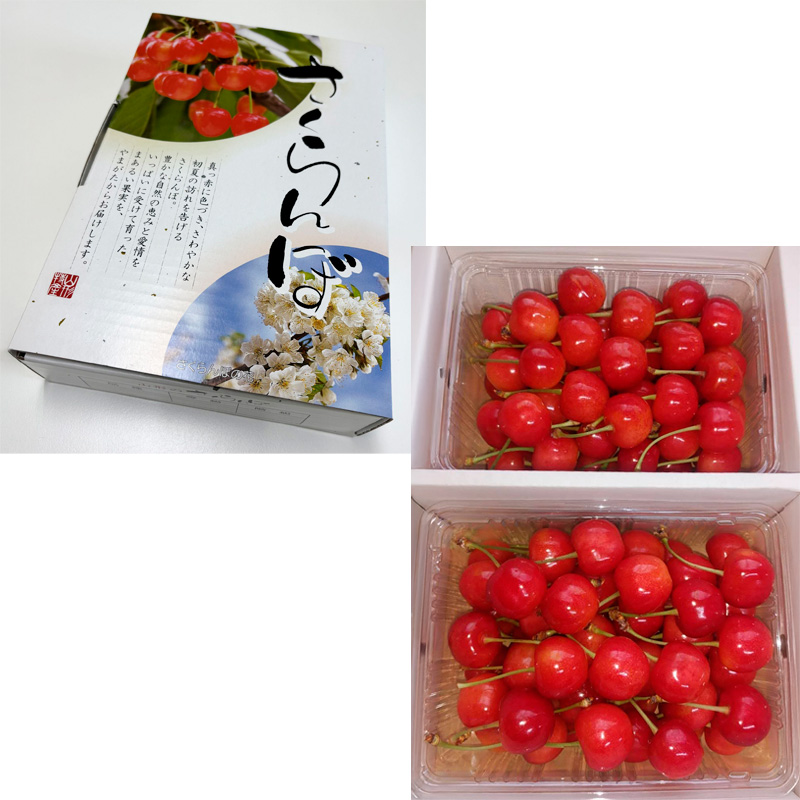 さくらんぼ 佐藤錦 1kg(500gパック×2) 特秀 L玉以上 FY25-122