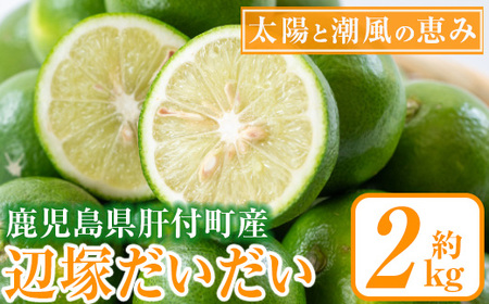 【P20001】辺塚だいだい 青果 (2kg) 鹿児島 国産 橙 だいだい 柑橘 かんきつ 果物 フルーツ 贈答 ギフト【NPO法人 陸の宝島・岸良】