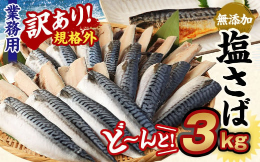 【訳あり規格外】  業務用 無添加 塩さば どーんと! 3kg 鯖 さば 塩サバ 干物 魚