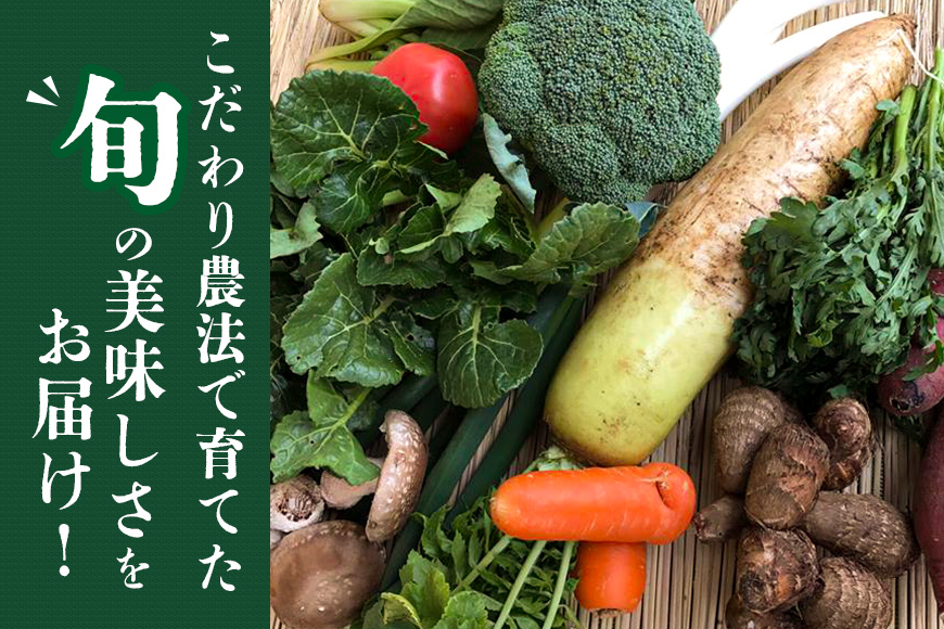 『身体が喜ぶ野菜』詰め合わせ ( おまかせ 10～12品) 野菜 詰合せ 詰め合わせセット お任せ 季節の野菜 セット 栽培期間中農薬不使用 有機栽培 微生物農法 EM農法 露地栽培 産地直送 新鮮 