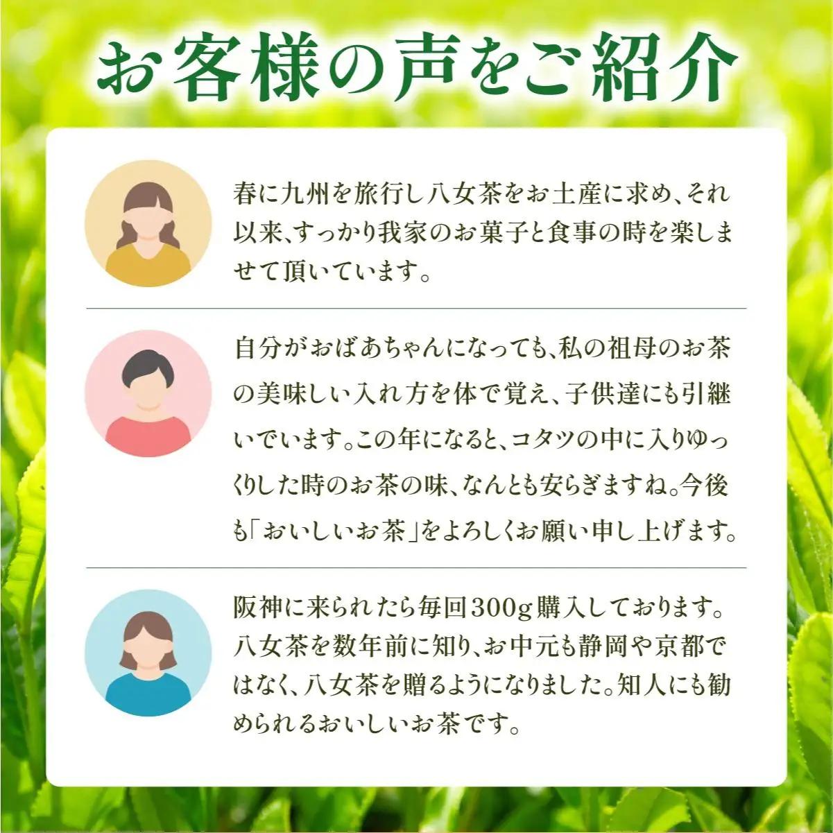 産地直送！八女茶 中島製茶本舗 ご家庭用 煎茶 ほうじ茶 ティーバッグ 計100パック