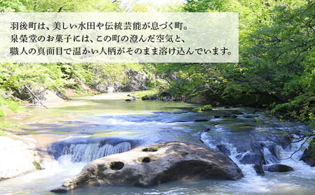 大正五年創業［お菓子の泉榮堂］くるみ餅 10個入 香ばし大粒胡桃 醤油ベースの優しい甘み 伝統菓子【 和菓子 お菓子 スイーツ 餅 秋田 羽後 】