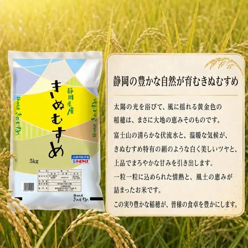 きぬむすめ 精米 白米 静岡県産 きぬむすめ【20kg(5kg×4)】