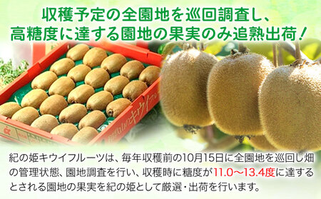 キウイフルーツ キウイ【先行予約】紀の姫キウイフルーツ約3.6kg（20～27玉入） 紀の里農業協同組合 《2026年1月上旬-2月末頃出荷》和歌山県 紀の川市